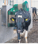 Für eine vollflächige Reinigung und Massage im Rücken- und im Seitenbereich sorgt das Zwei-Bürstensystem.