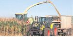 Die Maisernte setzt höchste Anforderungen an Mensch und Maschine.