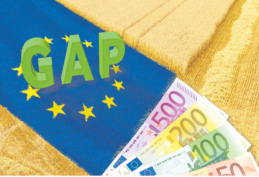 Die Diskussion über weitere Reformschritte in der Gemeinsamen Agrarpolitik (GAP) hat bereits begonnen.
