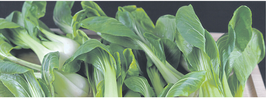 Pak Choi lsst sich wie Mangold verwenden.