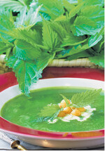 Brennnesselsuppe, einfach mal ausprobieren.