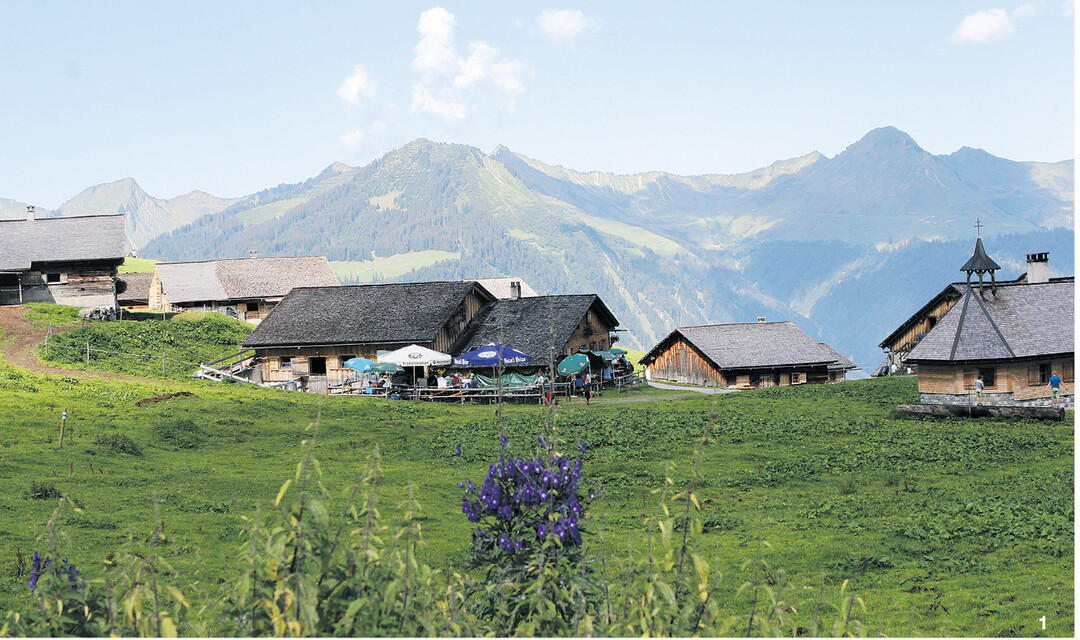 Sonnenplateau im Bioshärenpark Großes Walsertal: Die Alpe Steris.