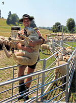 Jonas Henniger ist gelernter Schäfermeister und kennt die Schäferei von kleinauf.