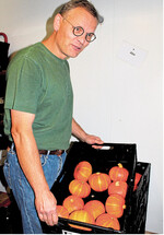 Gemüsekisten wie hier von der Bioland-Gärtnerei Weiss liegen im Trend.