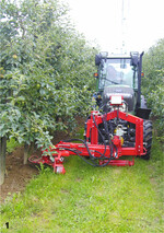 Da zur Beseitigung des Bewuchses im Baumstreifen im Oktober derzeit kein geeignetes Herbizid zur Verfügung steht, kann oder muss auf eine mechanische Bearbeitung ausgewichen werden.