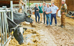 Das Projektteam der Klima-Milchfarm (v. l.:) Corinna Weinmiller, Nachhaltigkeitsexpertin Nestlé Deutschland, Helmut Stuck, Leitung Milchverwaltung Hochwald, Prof. Dr. Markus Frank, HfWU Nürtingen-Geislingen, Landwirt Mario Frese sowie Prof. Dr. Stephan Schneider und Andreas Durst, HfWU.