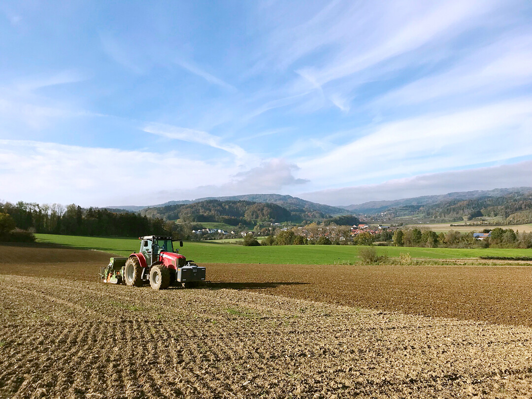 Vater Wilfried Klein beim Säen von Ackerbohnen.