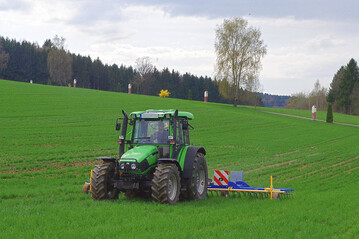 Winterweizen mit wenig Ungräsern kann gestriegelt werden, wenn regen- und frostfreie Tage folgen.