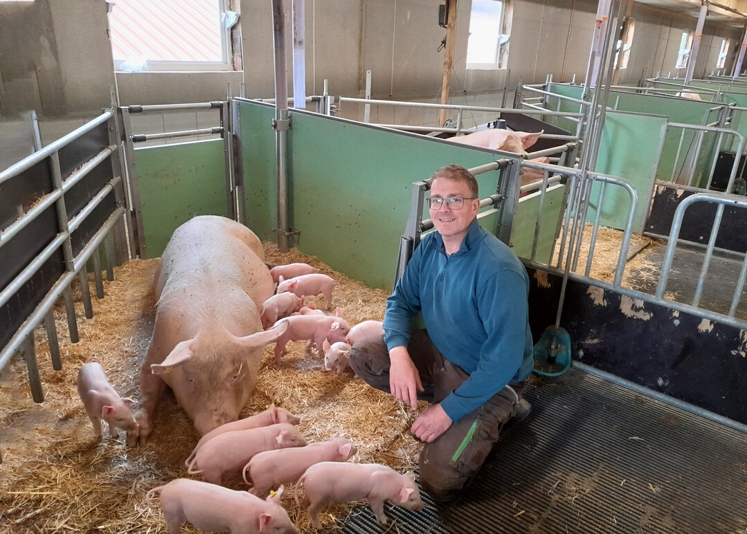 Wir haben unsere Entscheidung, in einen Tierwohlstall zu investieren, nicht bereut: Markus Bezelberger und seine Familie halten ihre Zuchtsauen in Buchten, in denen sie frei abferkeln knnen.