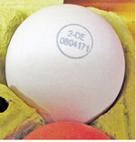 Eier müssen mit einem Erzeugercode gekennzeichnet sein, wenn sie auf dem Wochenmarkt verkauft werden.