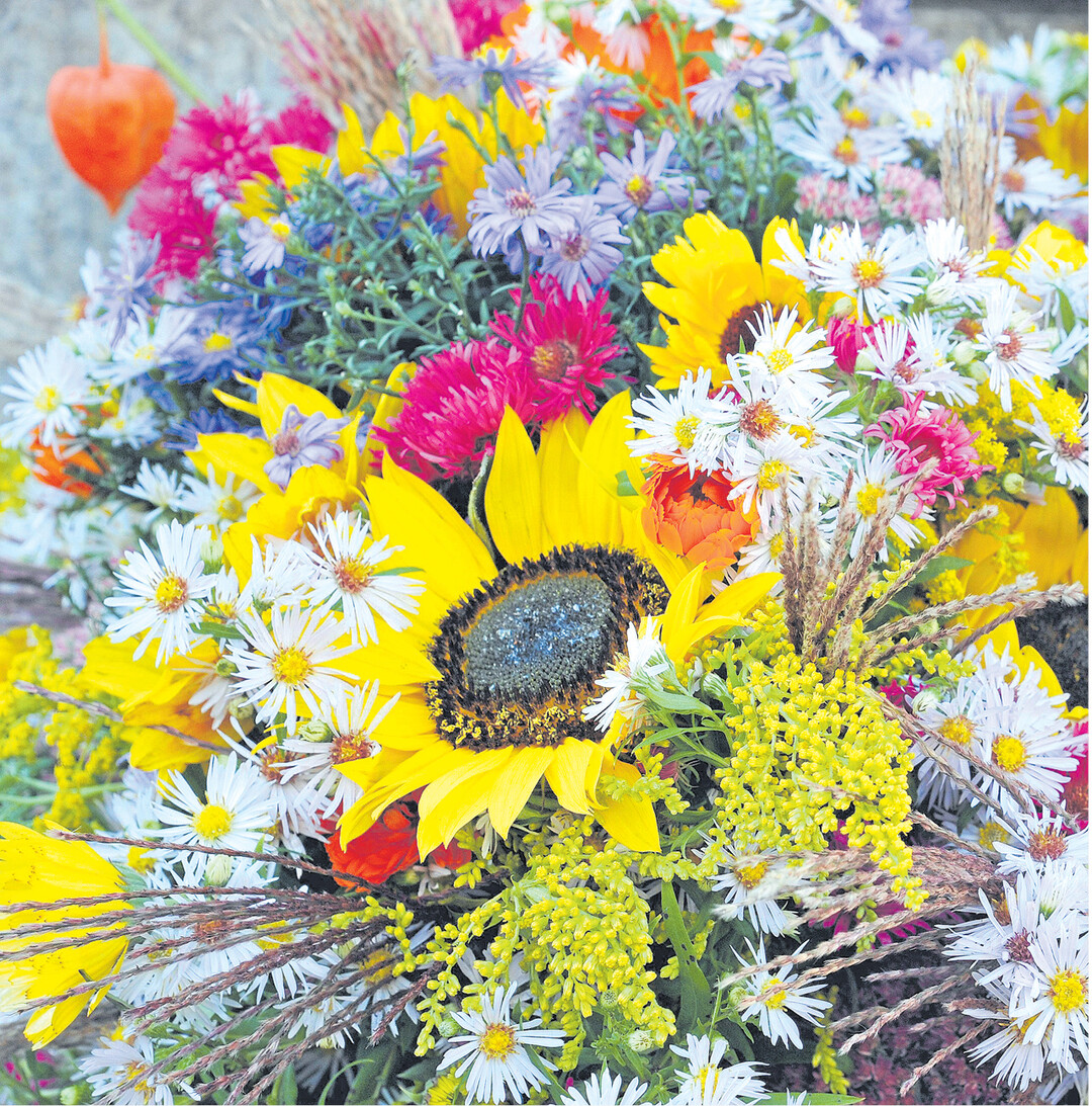 Auch die reiche Blumenfülle des Herbstes erfreut am Erntedankfest mit ihrer Farbenpracht.