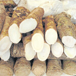 Gesunde Meerrettichstangen auf dem Wochenmarkt.