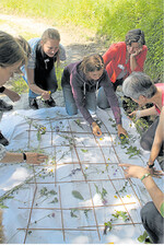 Teilnehmerinnen bei der Bestimmung der Wiesenpflanzen.