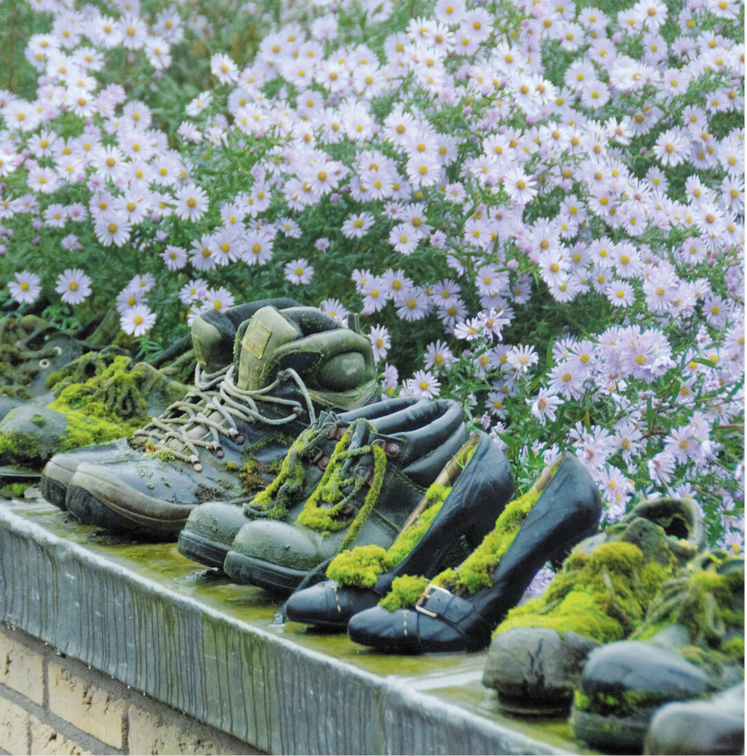 Natur erobert Kultur: Alte, nicht mehr benutzte Schuhe an einem passenden Platz im Garten sich selbst überlassen. Nach und nach überwuchert Moos das Arrangement.