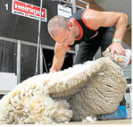 Christian Zill aus Baden-Württemberg belegte bei der Deutschen Schafschurmeisterschaft in der Kategorie Profi International den zweiten Platz.