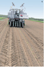 Pflanzung am laufenden Band: Die neue vollautomatische Pflanzmaschine von Kooiman besticht durch hohes Arbeitstempo. Die Pflanzen werden in speziellen Papierbändchen herangezogen.