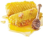 Vor Erkältungen schützen kann der antibakteriell wirkende Bienenhonig.