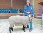 Harald Streicher, Ilsfeld, präsentierte den Fleischsieger der Fleischschafrassen.