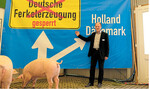 Die Jungsauen zeigten wenig Interesse am Fototermin vor dem Protestplakat des Schweinezuchtverbandes, zu dem Präsident Hans-Benno Wichert ins Schweinezelt geladen hatte.