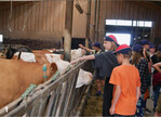 Die Einblicke in die Lebensmittelerzeugung gefiel den Jugendlichen bei der Landkinderfreizeit.