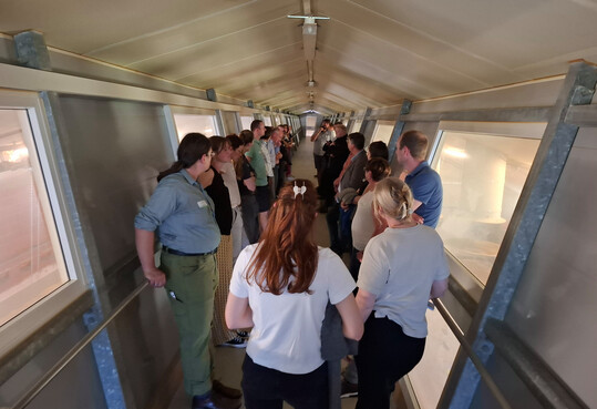 Vom Besuchergang aus konnten die Teilnehmer einen Blick in den Versuchsstall werfen, in dem gerade die Kken schlpften.