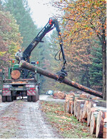 Beim Transport von Langholz müssen Obergrenzen der Zuglängen beachtet werden.