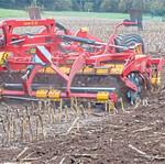 Auch umgefahrene Maisstoppeln müssen bearbeitet werden, um die Vermehrung des Maiszünslers zu verlangsamen.