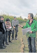 Rolf Kern vom Landwirtschaftsamt Karlsruhe zeigt Versuche zu Zwischenfrucht vor Mais.