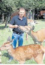 Im Streichelgehege lebt eine zahme Hirschkuh mit Kalb, die Frank Heinzelmann mit der Flasche aufgezogen hat.