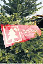 Das Markenzeichen für Christbäume aus Baden-Württemberg: Viereckiger Rahmen mit stilisiertem Weihnachtsbaum und Stern goldfarben auf weinrotem Grund.