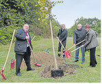 Dr. Inge Gräßle (r.) erhält beim Baumpflanzen tatkräftige Unterstützung, v. r.: Bürgermeister Siegfried Gröner, BDS-Ortsvorsitzender Manfred Setzer und der hessische BDS-Präsident Heinrich Dittmann.