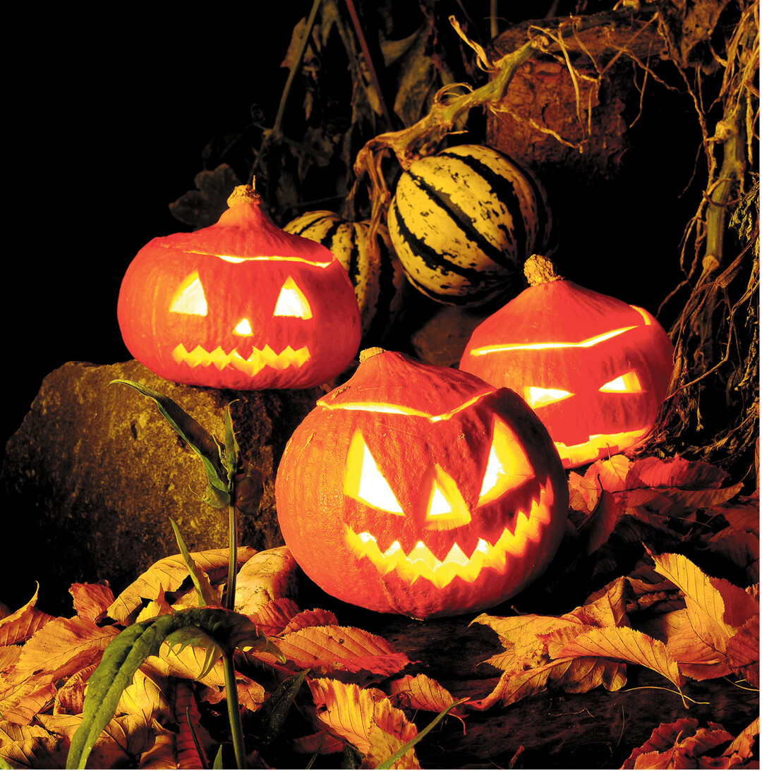 Die Sommerzeit geht zu Ende und mit der Umstellung der Uhren wird es jetzt früher dunkel. Da kommt Halloween gerade recht mit seinen fantastischen Leuchtkörperm.