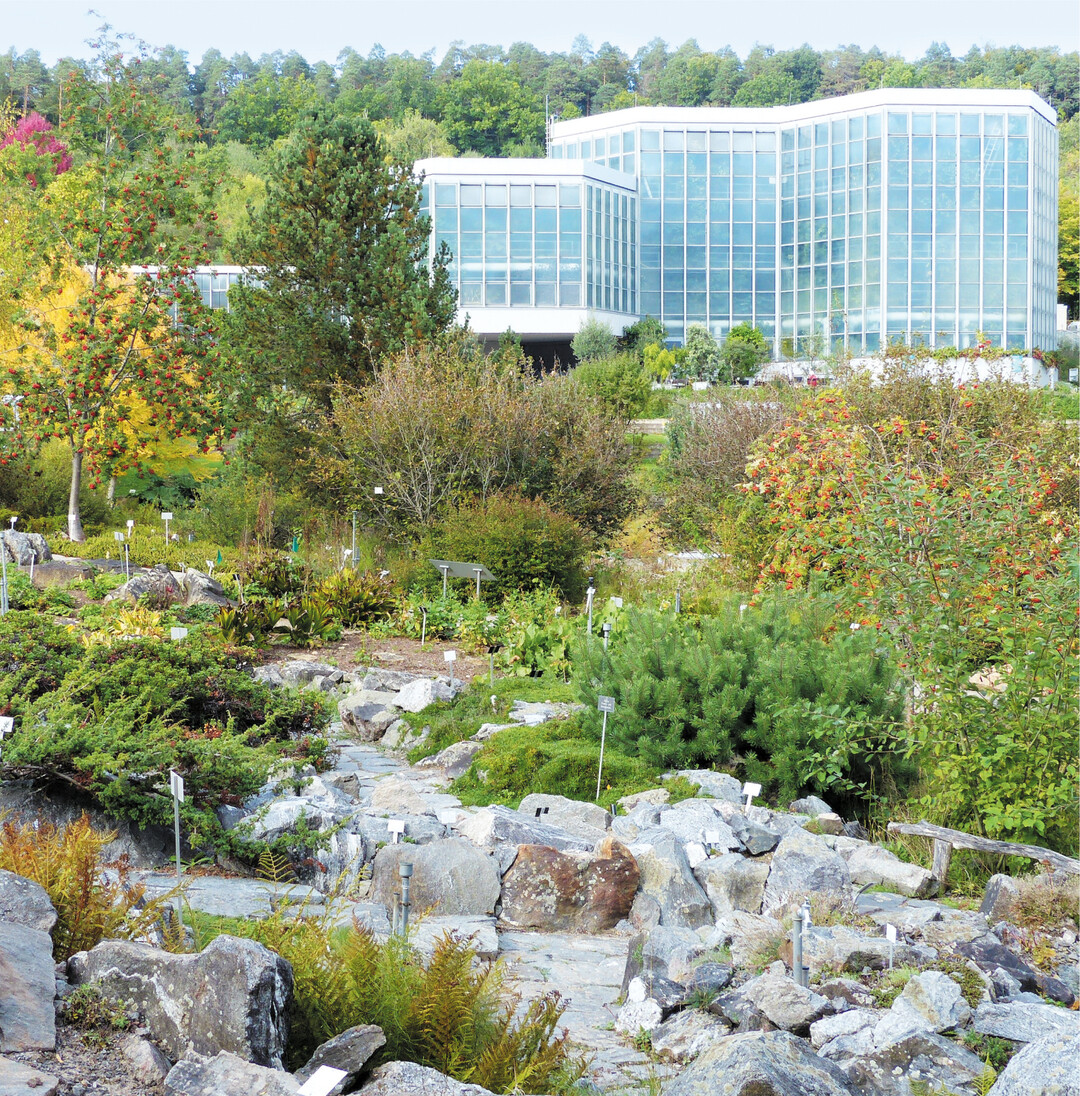 Die Vielfalt und Schönheit der Pflanzenwelt kann man bei einem herbstlichen Ausflug in den Botanischen Garten in Tübingen erleben. Auf zehn Hektar finden sich fast 10.000 Pflanzenarten aus fünf Kontinenten, geordnet nach geografischen, ökologischen, verwandtschaftlichen und thematischen Gesichtspunkten. Das Arboretum (Baumsammlung) ist jetzt im Herbst wegen der vielen Früchte und der Laubfärbung besonders attraktiv. Die Öffnungszeiten sind täglich von 8 bis 16.30 Uhr. Die Gewächshäuser sind wegen Corona bis auf Weiteres geschlossen.
