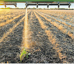 Das AmaSpot-System kann punktgenau Herbizide ausbringen.