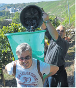 Die Weinlese in Steillagen ist anstrengend. Doch den Spaß verliert kaum einer, denn sie ist auch ein besonderes Erlebnis.