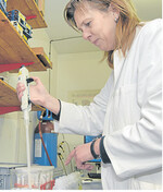 Klärschlamm wird im Labor auf Schadstoffe untersucht.