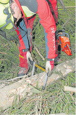 Die Aufarbeitungsqualität sollte sich an den Wünschen des Holzkäufers orientieren. Worauf es ankommt, weiß der Revierleiter.