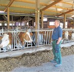 Zur richtigen Zeit am richtigen Ort: Wer Probleme in der Kuhherde erkennen will, muss mehrmals täglich durch den Stall gehen.