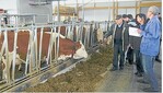 In Schonach zeigte Landwirt Hermann Gehringer der Reisegruppe vom Futtertisch aus den modernen Stall und die Fleckviehherde.