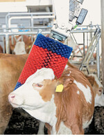 Die Kratzbürse eignet sich für Kälber und Ziegen.