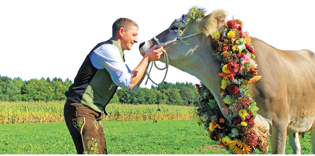 Mit Blumenkranz geschmückt hat Jan-Philipp Gaa eine Kuh zum Geburtstag bekommen. Sie soll nicht die einzige bleiben.