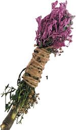 Pinsel lassen sich aus Naturmaterial selbst basteln. Dazu um ein Stöckchen etwas struppiges Material wie Reisig, Samenstände oder trockenes Gras binden.