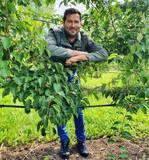 Ingo Ehrenfeld ist stolz auf seine Minikiwi-Plantage. Von den zehn Hektar erntet er in guten Jahren so viele Früchte wie in ganz Belgien von 30 Landwirten produziert werden.