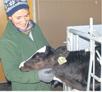 Mit Streicheln und gutem Zureden lässt sich schon beim jungen Tier eine gute Mensch-Tier-Beziehung aufbauen.