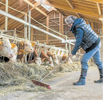Heufütterung wirkt sich positiv auf die Tiergesundheit aus.