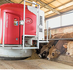 Die Kratzbürse eignet sich für Kälber und Ziegen.