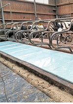 Die Liegeboxenmatratze lässt Kühe bequem liegen.