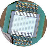 Foto: Fraunhofer FEP