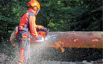 Bei der Praxisdemonstration mit der Motorsäge.
