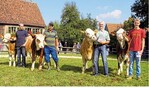 Die Siegerkühe der Fleckviehprämierung in Wackershofen.